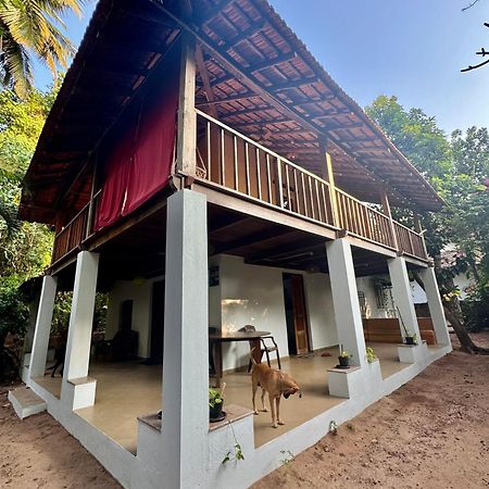 The Sunset Chalet Anjuna Exterior foto