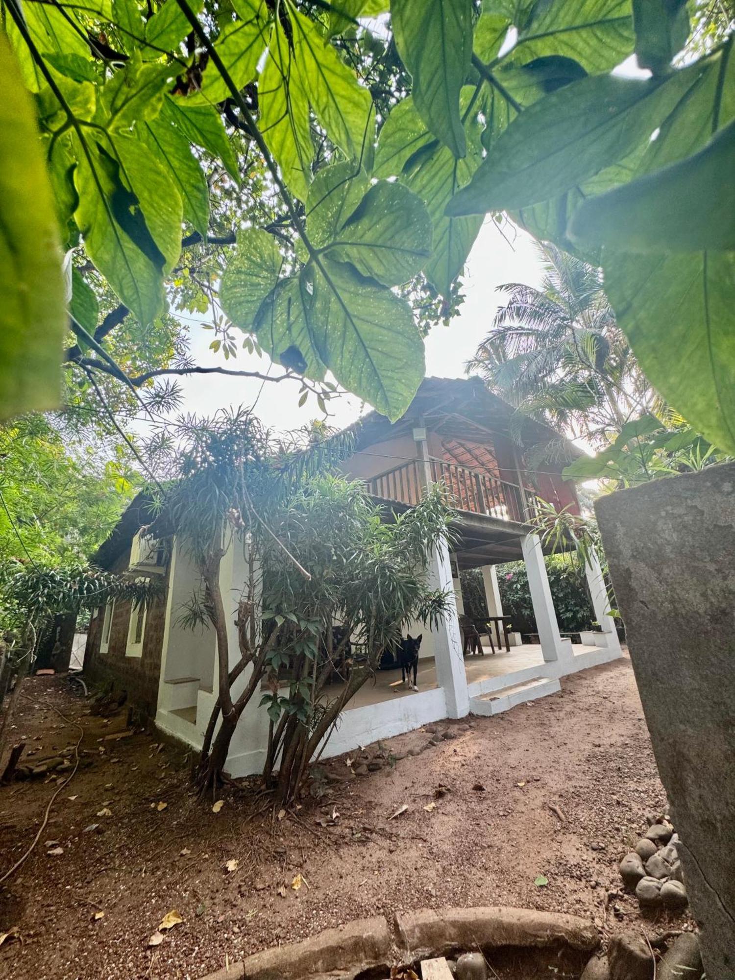 The Sunset Chalet Anjuna Exterior foto